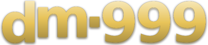 dm.999 logo